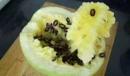 籽瓜热吃吗,热食还是冷食，哪种吃法更佳？