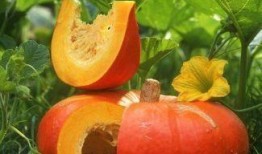 系统吃瓜心声,揭秘虚拟世界的真实情感波动