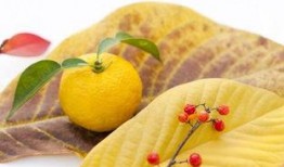 柚子君吃瓜,揭秘娱乐圈那些不为人知的幕后故事