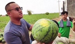 吃瓜西王母,揭秘神话中的神秘仙果与仙界传说