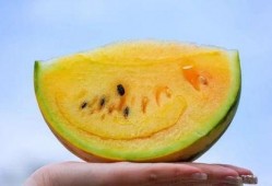 情侣之间吃红瓜,情侣共享的浪漫滋味