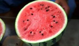 吃瓜糖糖,甜蜜背后的故事与秘密