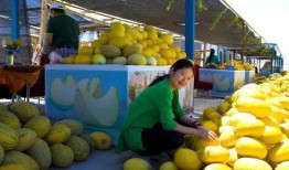 瓜州吃瓜事件,一场引发热议的网络狂欢