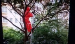 消防兵吃瓜,吃瓜记