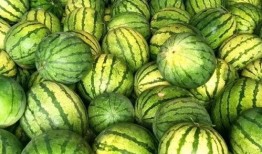 籽瓜热吃吗,热食还是冷食，哪种吃法更佳？