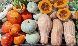 吃瓜立姜,揭秘娱乐圈背后的真相与八卦