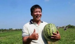 吃瓜群众张大力