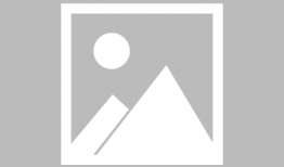 吃瓜群众803,一场全民参与的娱乐盛宴