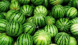 深圳三三姐吃瓜,揭秘娱乐圈幕后故事