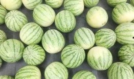 吃瓜真悠闲,揭秘娱乐圈幕后故事