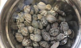 吃瓜系统40,带你领略新时代网络娱乐新风尚