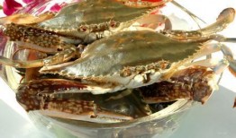 螃蟹吃瓜鱼,一场海洋生物的跨界美食之旅