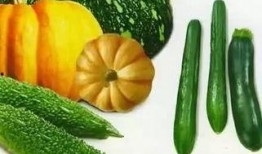 3月26号吃瓜合集,娱乐圈风云再起，吃瓜合集大揭秘