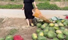 农村吃瓜搞笑,笑料百出欢乐多