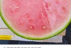 外国吃瓜网有什么