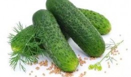 凯金日常吃瓜,瓜田里的欢乐时光