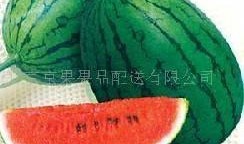 51吃瓜北京,揭秘京城热点事件背后的真相