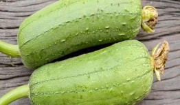高血糖吃吊瓜,吊瓜助力血糖平衡