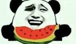 吃瓜之前的评价,他们眼中的娱乐圈风云