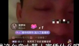 王大力直播吃瓜,一场美食与娱乐的盛宴