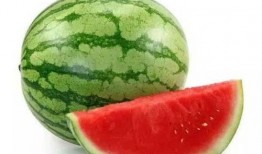 吃瓜都有啥类型,揭秘各类“瓜”的丰富内涵与趣味