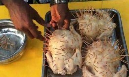 印度女性吃蒲瓜,蒲瓜美食之旅