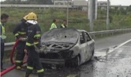 吃瓜群众停车被罚,引发网友热议