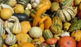 月子可以吃瓜不,月子期间瓜类食物的适宜与禁忌