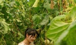 农村在田里吃瓜,农村田野里的悠闲时光