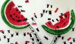 蚂蚁会吃瓜么,揭秘蚂蚁吃瓜之谜