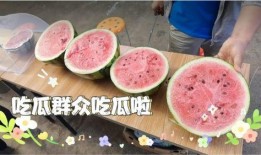 夏天味道吃瓜群众,吃瓜群众共享清凉滋味