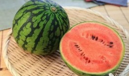 胃病的人吃瓜,西瓜的适量享用之道