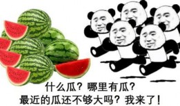 吃瓜群众9,网络热词背后的故事与影响