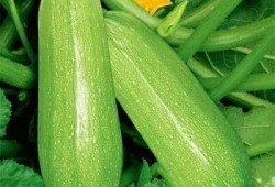 西梦吃瓜后续,揭秘娱乐圈背后的真相与反转