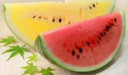 耐高吃瓜,揭秘瓜果界的“耐力之王”