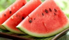 吃瓜为什么会拉屎