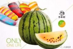 濮阳吃瓜王恒星,揭秘网络红人的崛起之路