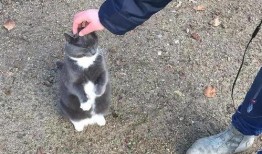 吃瓜镜子前,揭秘吃瓜群众的趣味生活