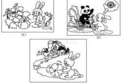 瓜地吃瓜 看图写话