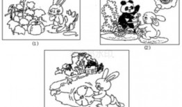 瓜地吃瓜 看图写话