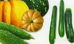 瓜多了怎么吃,瓜多了怎么办？创意吃法大集合