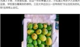 吃瓜大学改名大全,揭秘高校更名背后的故事与变迁