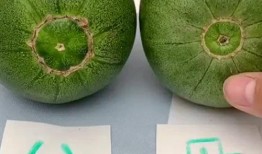 吃瓜涨知识,揭秘娱乐圈背后的那些事儿