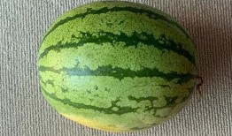 吃瓜就要吃全瓜吗为什么,揭秘“吃瓜就要吃全瓜”背后的饮食哲学