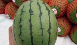 吃瓜炸裂聊天,揭秘娱乐圈幕后风云