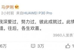 专业吃瓜语言
