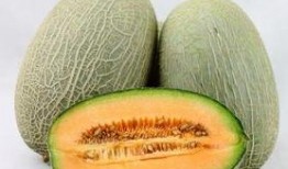 月经期间吃哈密瓜,月经期间食用哈密瓜的影响与注意事项