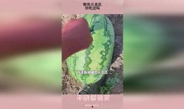 粉红君吃瓜,揭秘娱乐圈那些不为人知的幕后故事