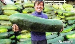 吃瓜群众摘瓜人是真的吗