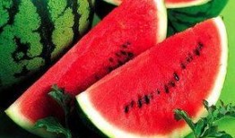 吃瓜娱乐场,吃瓜群众的狂欢盛宴